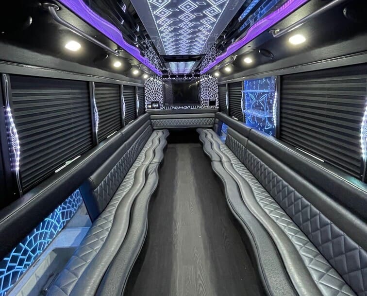 10 20 Passenger Party Buses Interior